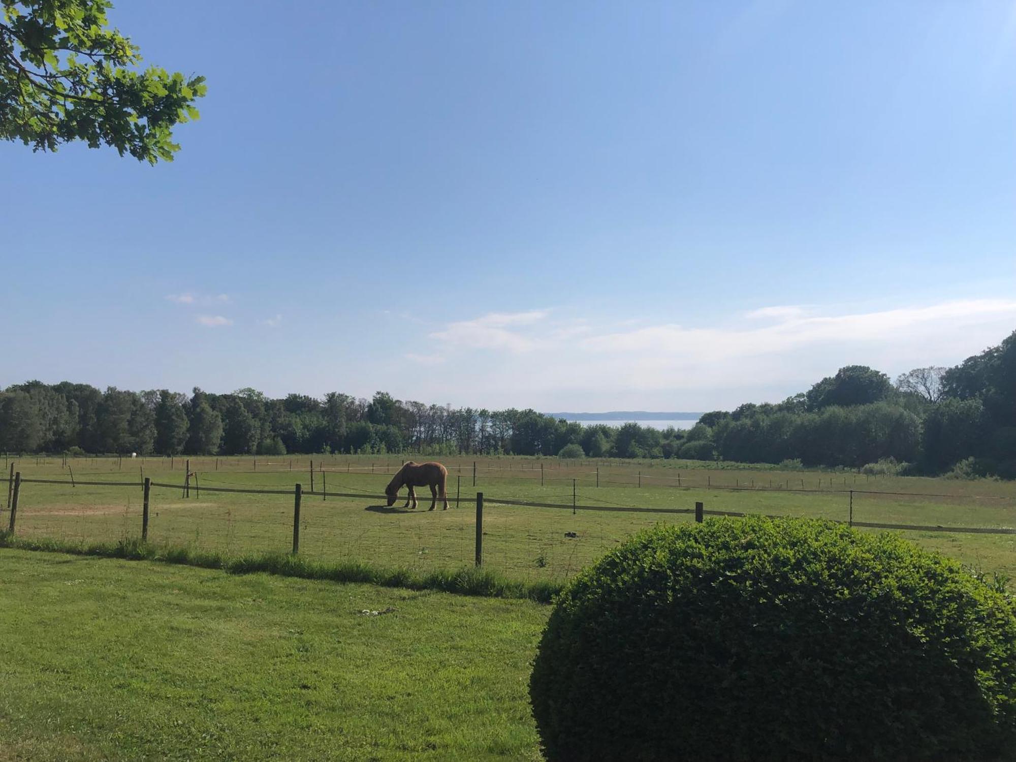 Vingardens Bed & Breakfast Helsingborg Exterior photo
