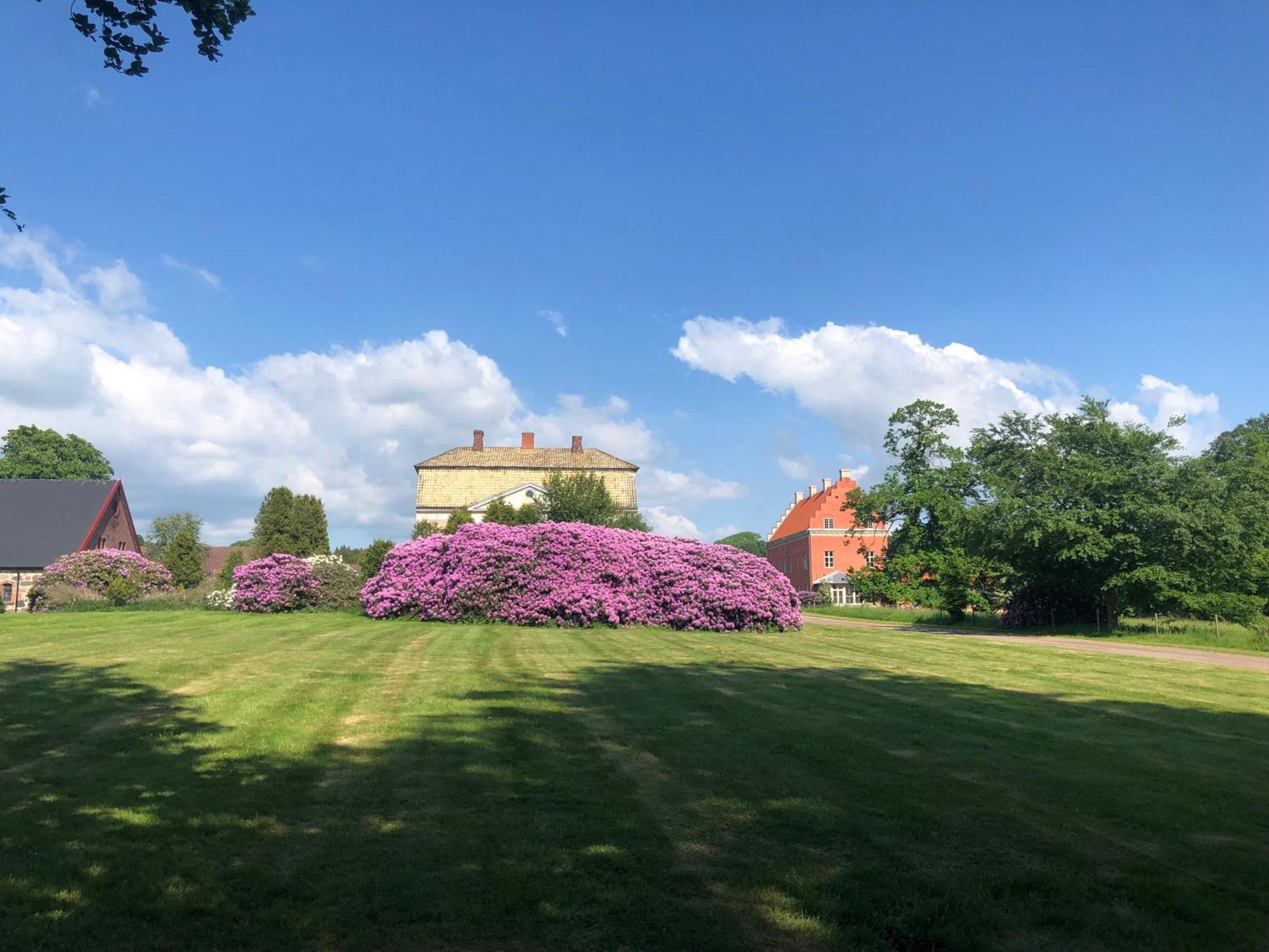 Vingardens Bed & Breakfast Helsingborg Exterior photo